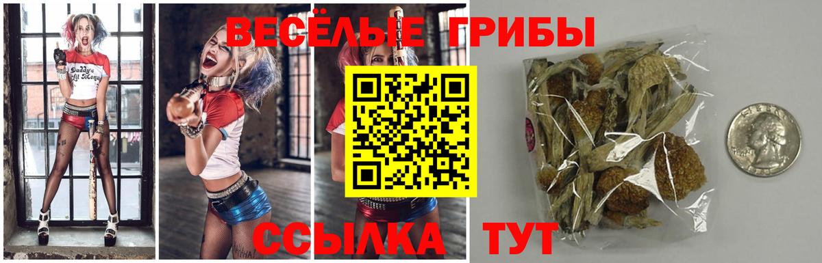 что такое наркотик  Вход с VPN  Ахтубинск  Галлюциногенные грибы Psilocybine cubensis  Псилоцибиновые грибы ЛСД 