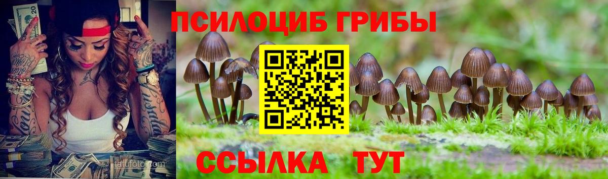 Псилоцибиновые грибы GOLDEN TEACHER Ахтубинск